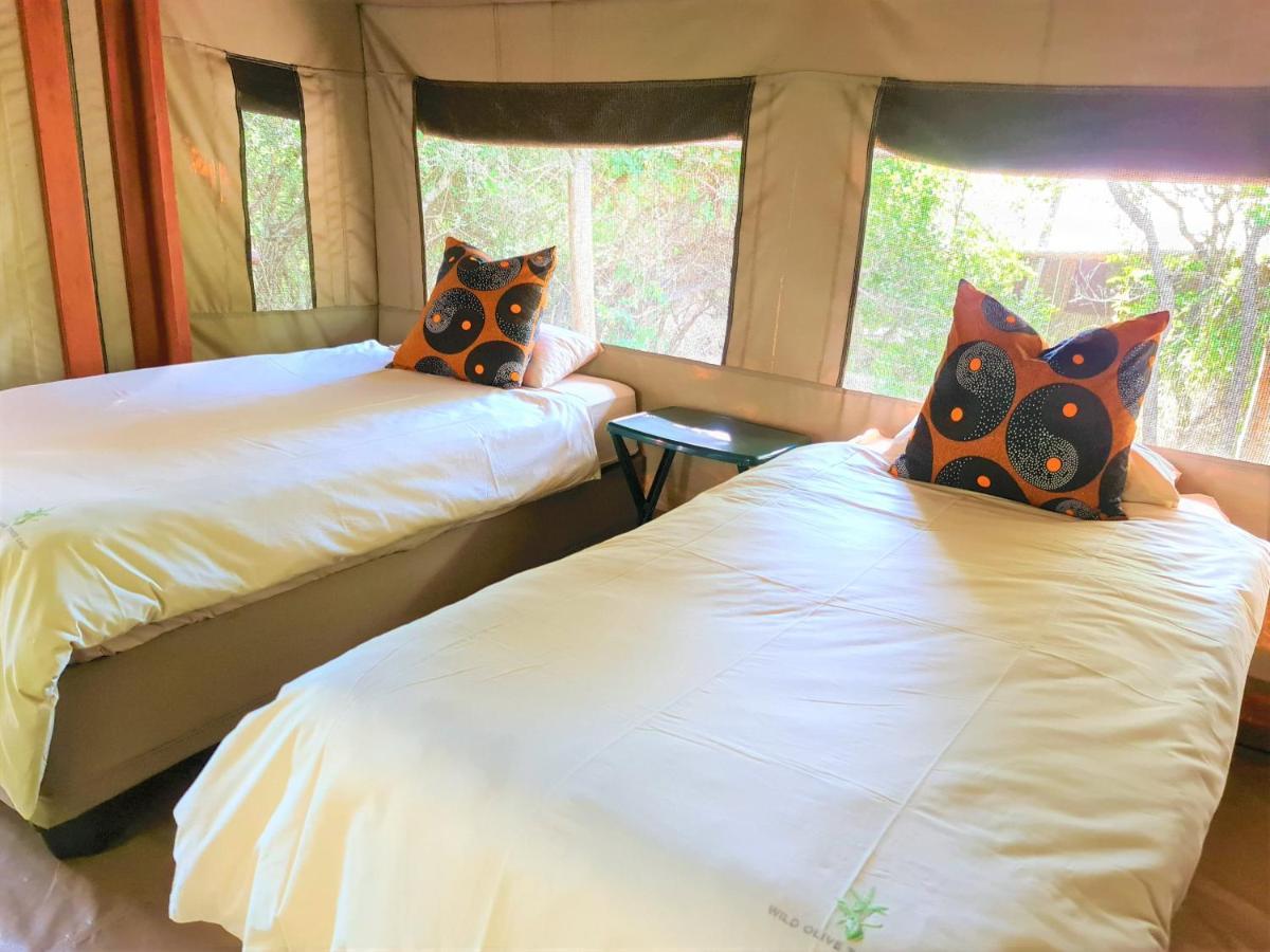 The Wild Olive Tree Camp Hotel Welverdiend  Екстериор снимка