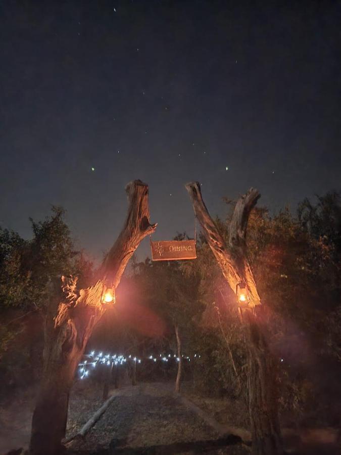 The Wild Olive Tree Camp Hotel Welverdiend  Екстериор снимка