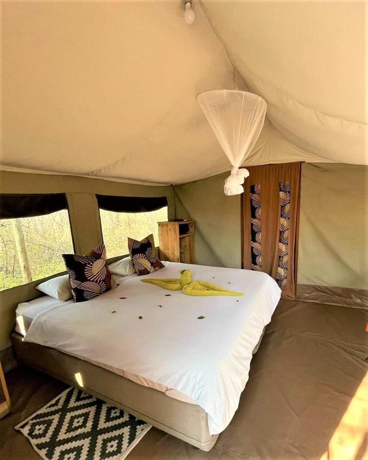 The Wild Olive Tree Camp Hotel Welverdiend  Екстериор снимка