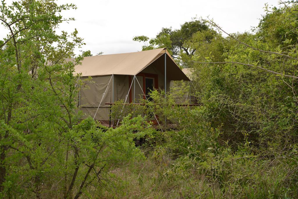 The Wild Olive Tree Camp Hotel Welverdiend  Екстериор снимка